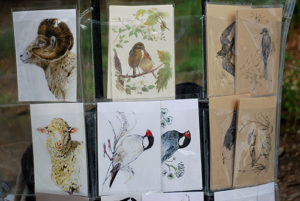 井の頭公園アートマーケッツ［アトリエ山鳩］まるで博物誌のアート