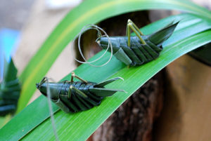 井の頭公園アートマーケッツ［ Leaf-Art-Cricket］葉っぱの昆虫