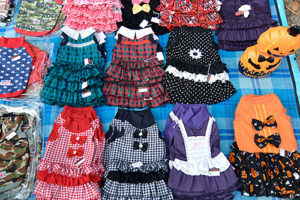 井の頭公園アートマーケッツ［LOVELY わんわん］ワンちゃんのお洋服