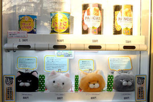 井の頭公園内 自動販売機に可愛い？「プチがまぐち」登場！