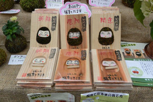 井の頭公園・七井橋通り［露天商・福育てだるま」の育て方