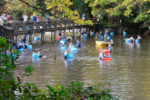 井の頭公園［かいぼり番外編］テレ東が「池の水ぜんぶ抜く」