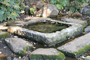 ［井の頭公園・豆知識17］徳川家康とお茶の水