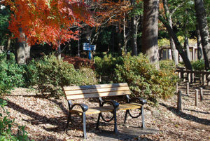 ［井の頭公園・豆知識22］思い出ベンチ、あなたなら何と刻みますか？