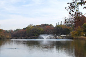［井の頭公園・豆知識23］アサガオ型噴水と「浮上型」水質浄化装置