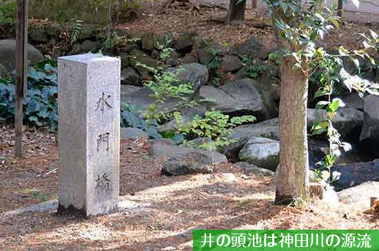 井の頭池は神田川の源流