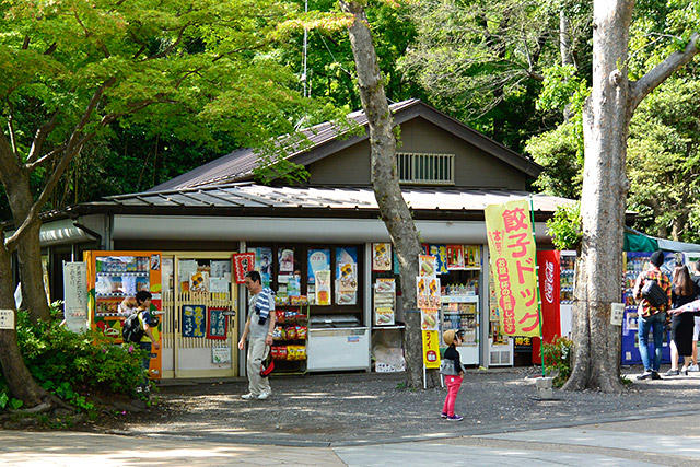 【井の頭公園内カフェ】井の頭池のほとりにあるカフェ８店+２店